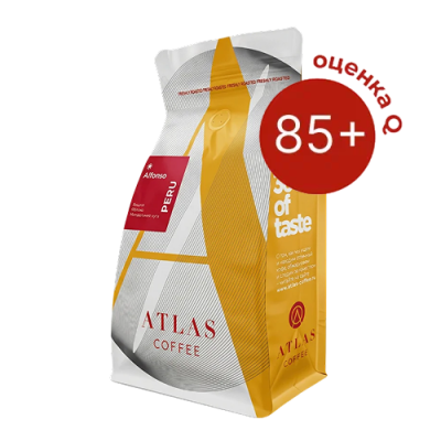 Альфонсо 500х500