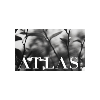 Чайный бокс