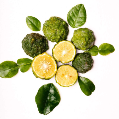 Кафр лайм 500х500 Кафр лайм 500х500