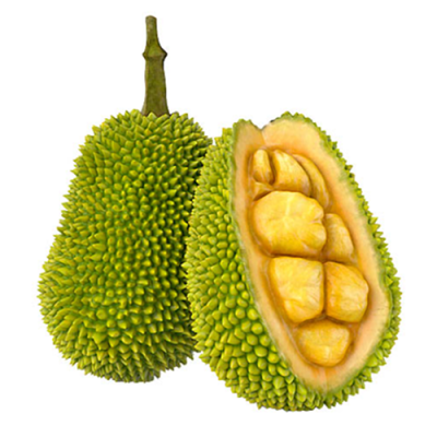 Джекфрукт изображение 500 х 500 Джекфрукт изображение 500 х 500