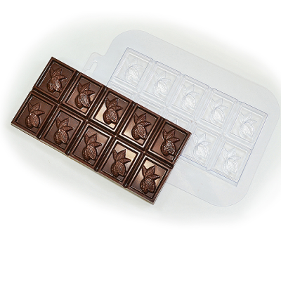 Какао-плод 500х500 Какао-плод 500х500